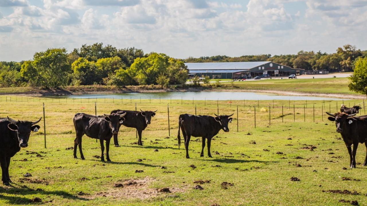 Nrs Event Center & Guest Ranch Ξενοδοχείο Ντεκατούρ Εξωτερικό φωτογραφία